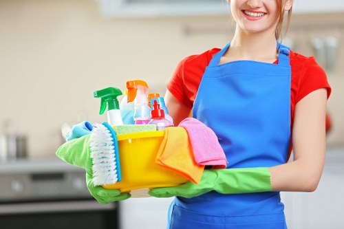 Professional carpet cleaning service in a UK home