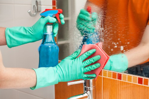 Deep cleaning service by a cleaner in Richmond upon Thames