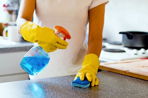 Carpet cleaning technician working in a living room