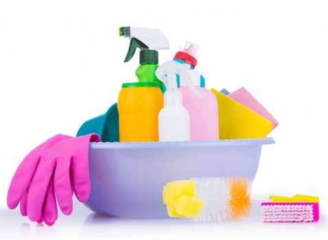 Insured carpet cleaning service with trained staff working carefully on site