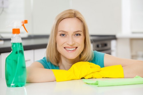 Range of domestic and commercial cleaning services in Richmond upon Thames