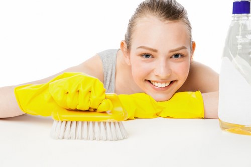 Specialist facade cleaning methods for local buildings