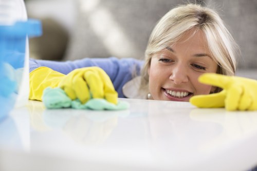 Professional carpet cleaning process in a Richmond upon Thames property